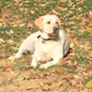 Meet your Posher, Aidan